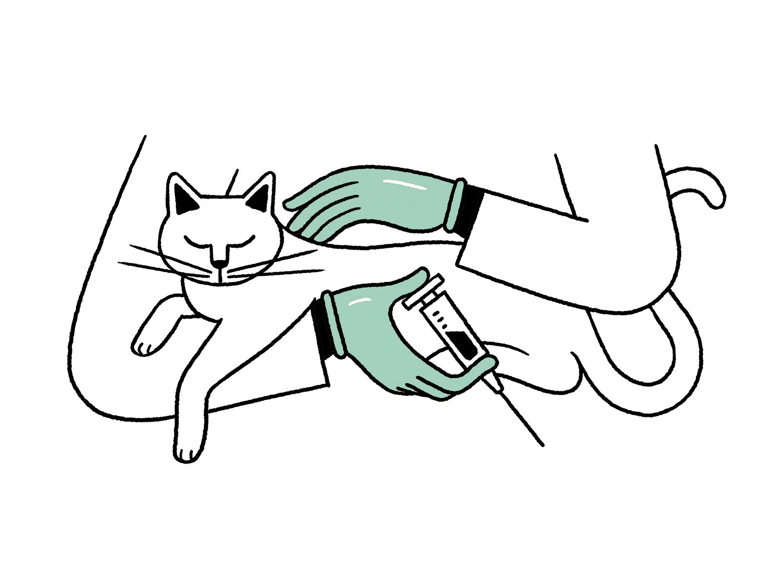A doctor petting a cat and holding a syringe